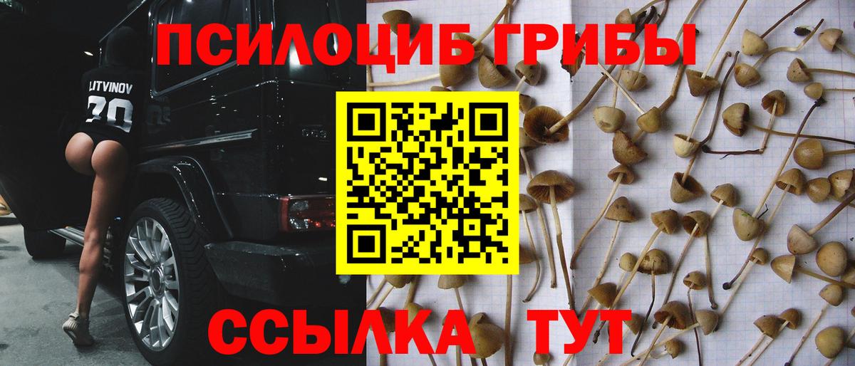 Псилоцибиновые грибы мицелий Псков